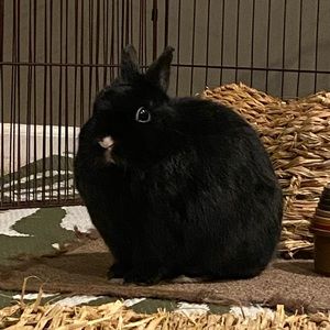 Meet your Posher, Sophie